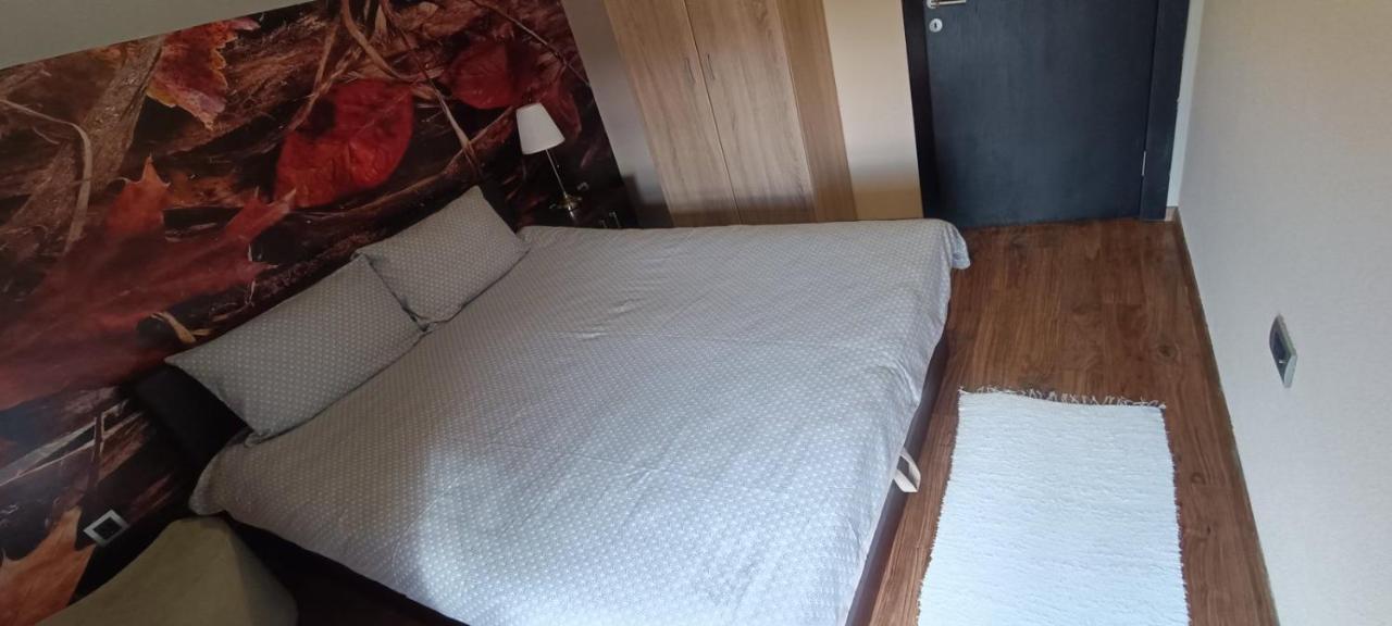 Apartment Vila Sandra 兹拉蒂博尔 外观 照片